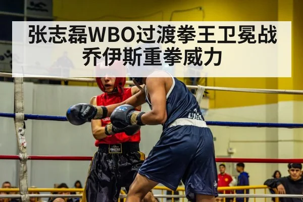 张志磊WBO过渡拳王卫冕战乔伊斯重拳威力 - KAIYUN SPORTS